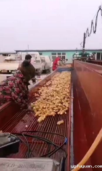 20200303128015.jpg \