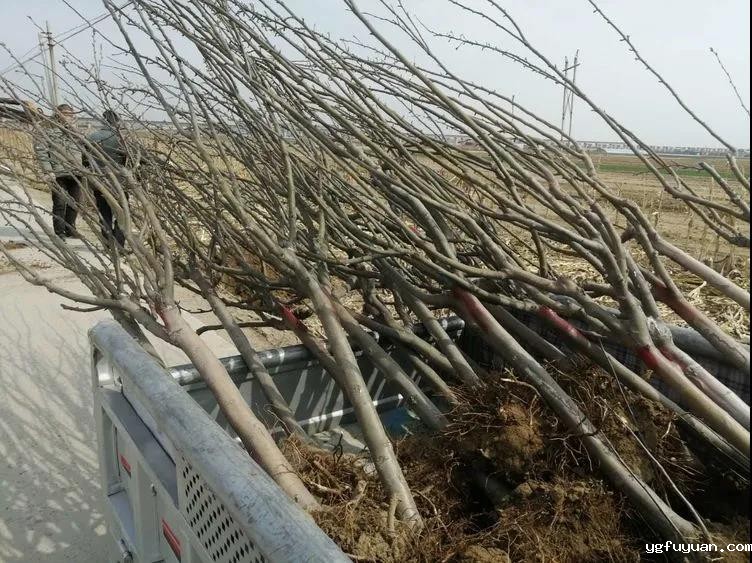 20200325132632.jpg \