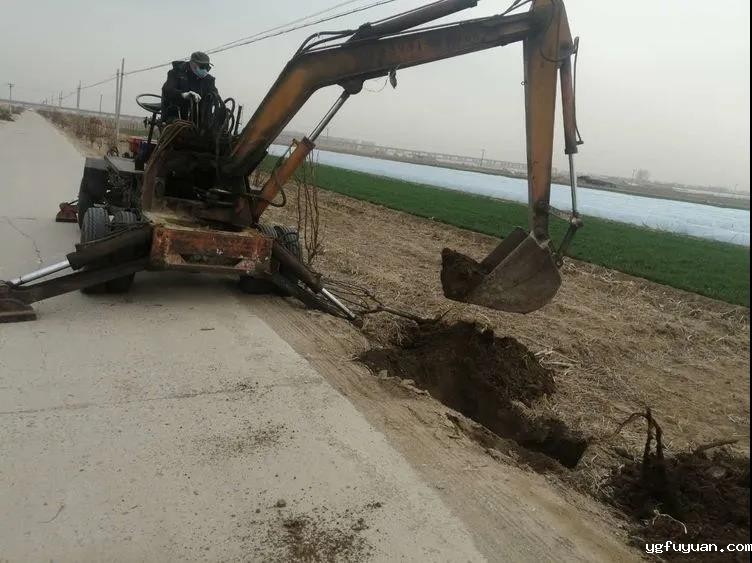 20200325831417.jpg \