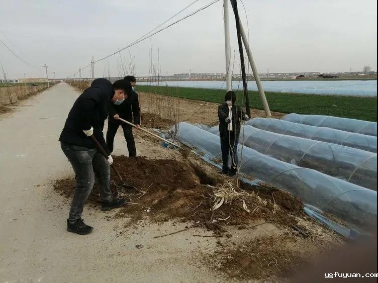 20200325981770.jpg \