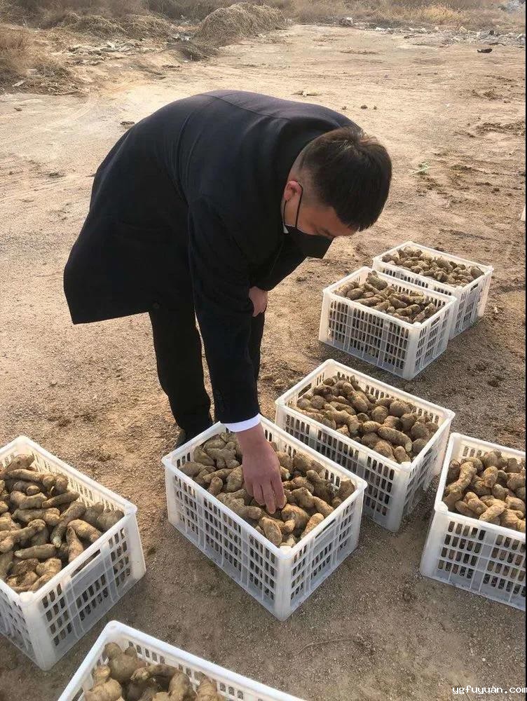 20200401166705.jpg \