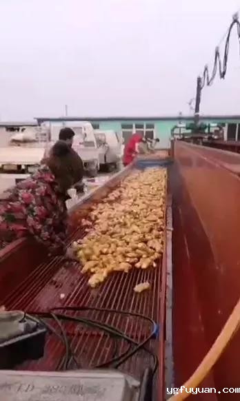 20200401189210.jpg \