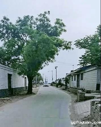 20200520126595.jpg 微信图片_20200520090716.jpg