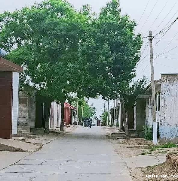 20200520366286.jpg 微信图片_20200520090915.jpg