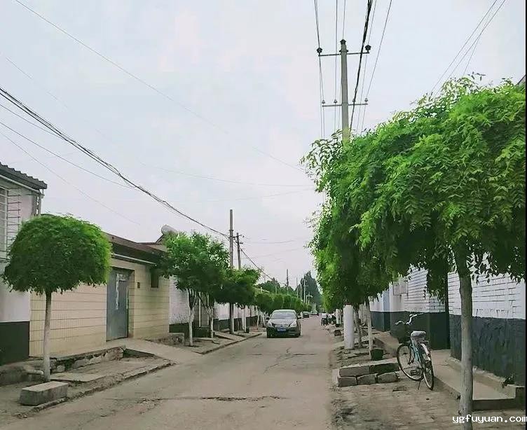 20200520398130.jpg 微信图片_20200520090748.jpg