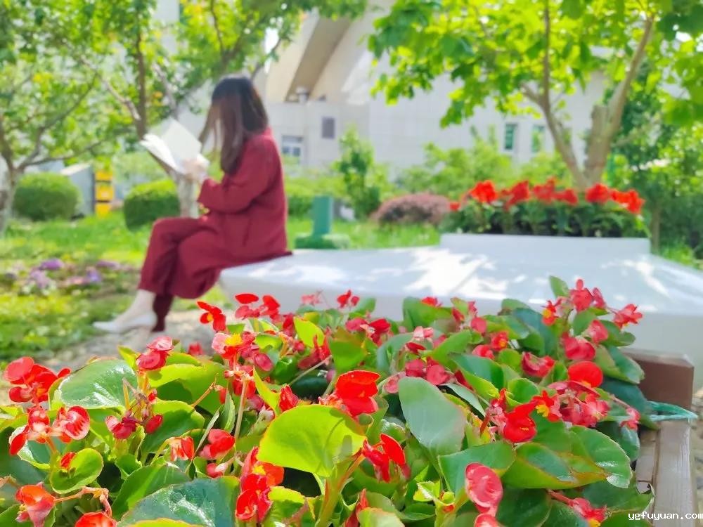 20200529101507.jpg 微信图片_20200529170306.jpg