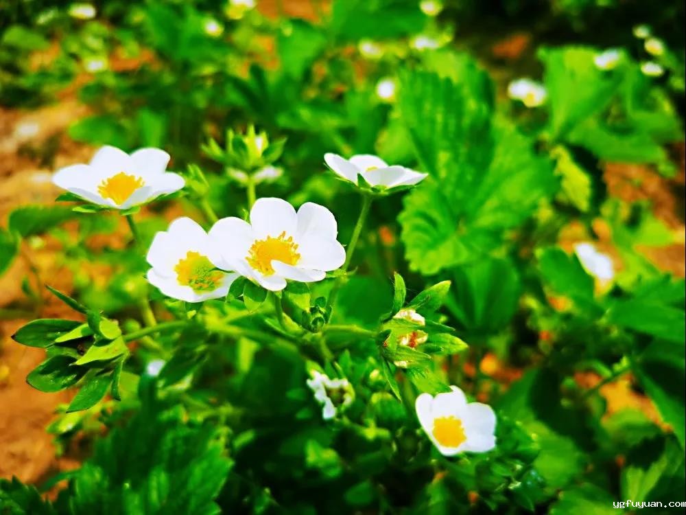 20200529113870.jpg 微信图片_20200529170439.jpg