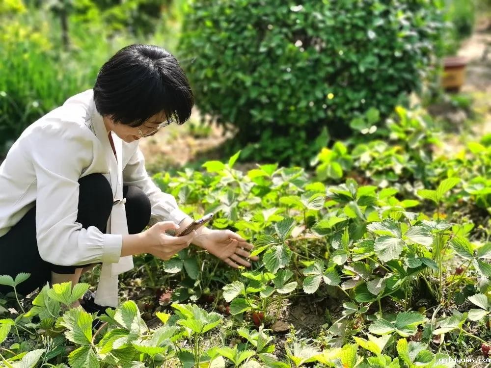 20200529132206.jpg 微信图片_20200529170613.jpg