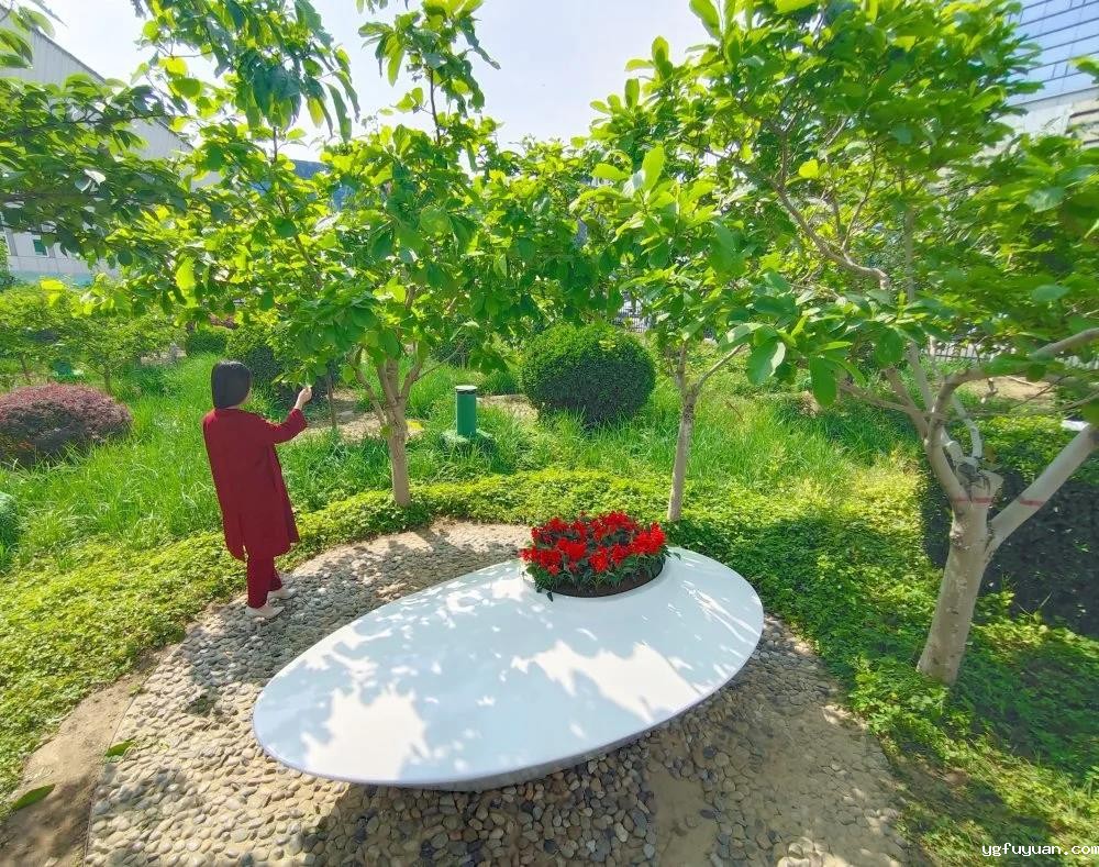 20200529219892.jpg 微信图片_20200529170525.jpg