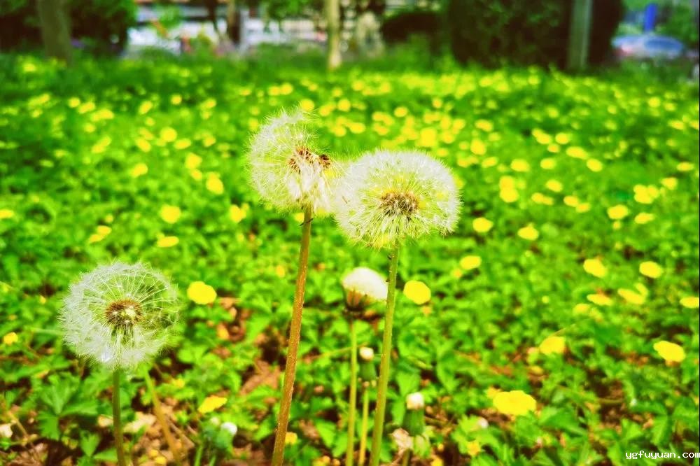 20200529475974.jpg 微信图片_20200529170442.jpg