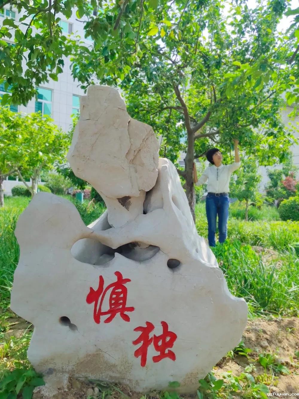 20200529589535.jpg 微信图片_20200529170528.jpg