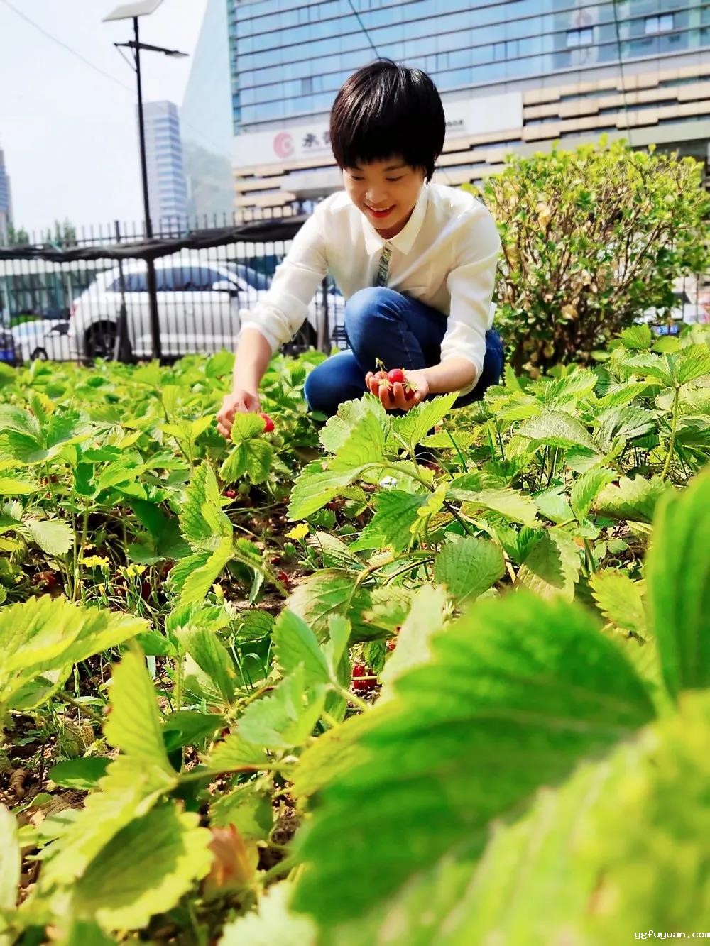 20200529692682.jpg 微信图片_20200529170616.jpg