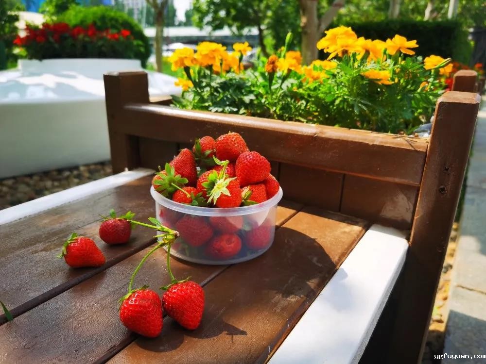 20200529767686.jpg 微信图片_20200529170619.jpg