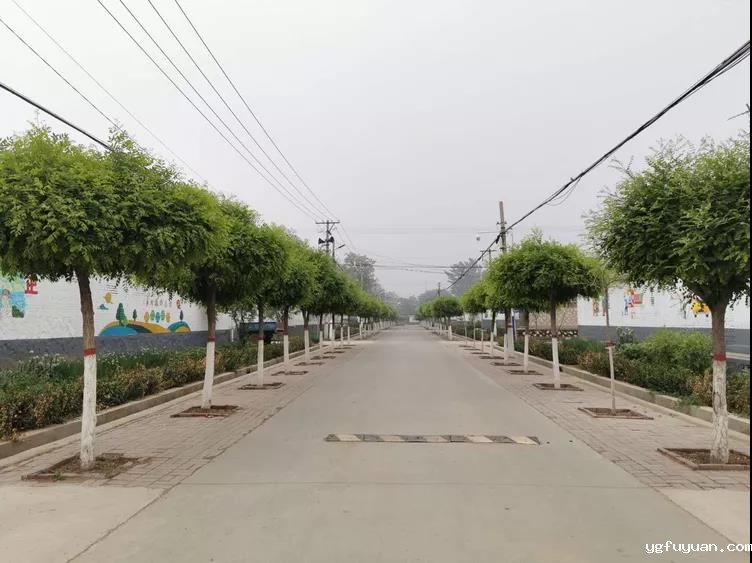 20200602807620.jpg 微信图片_20200602093042.jpg