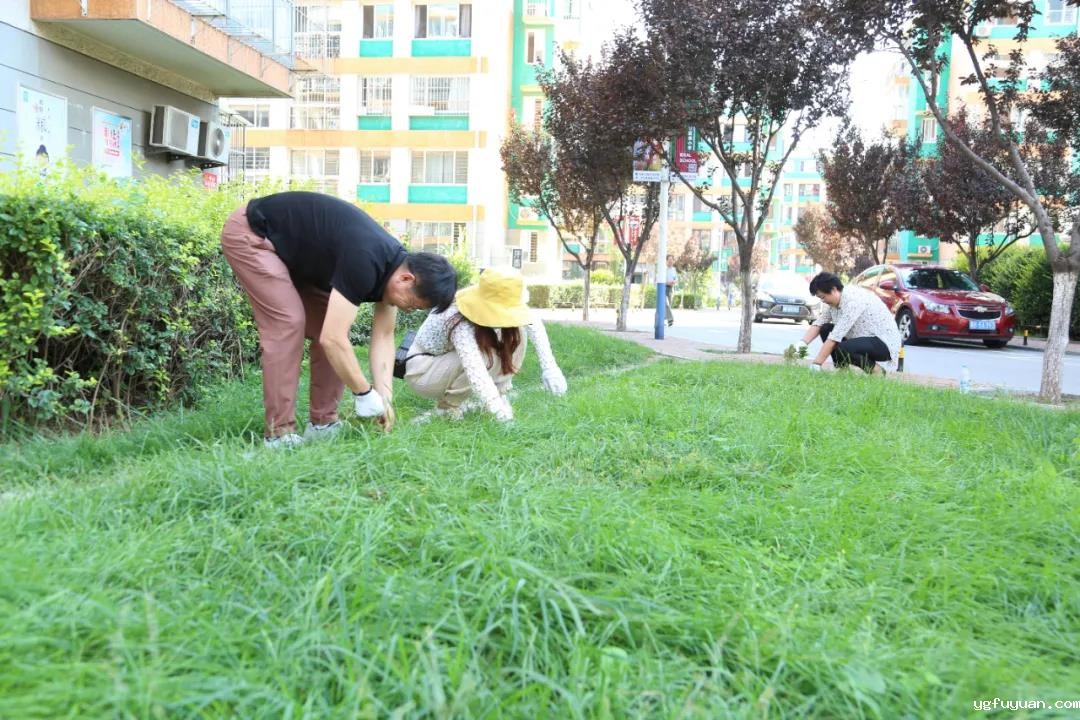 20200909296187.jpg 微信图片_20200909084651.jpg