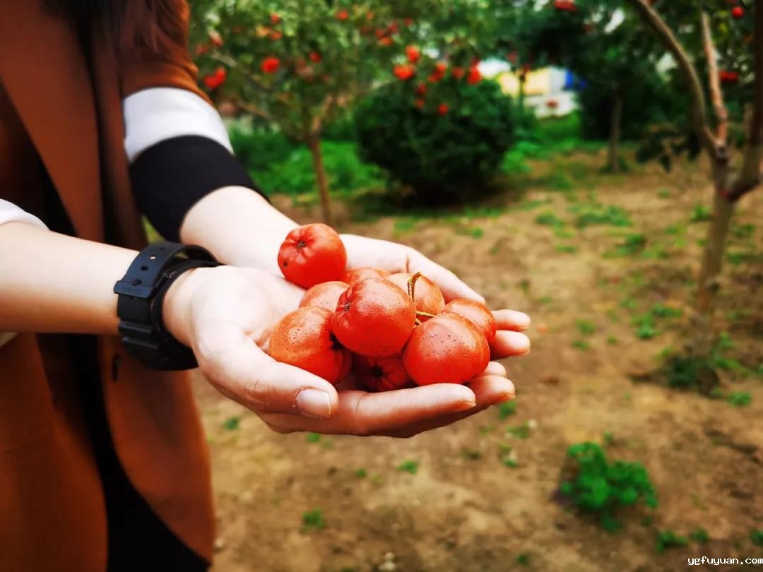 20201019115062.jpg 微信图片_20201019084354.jpg