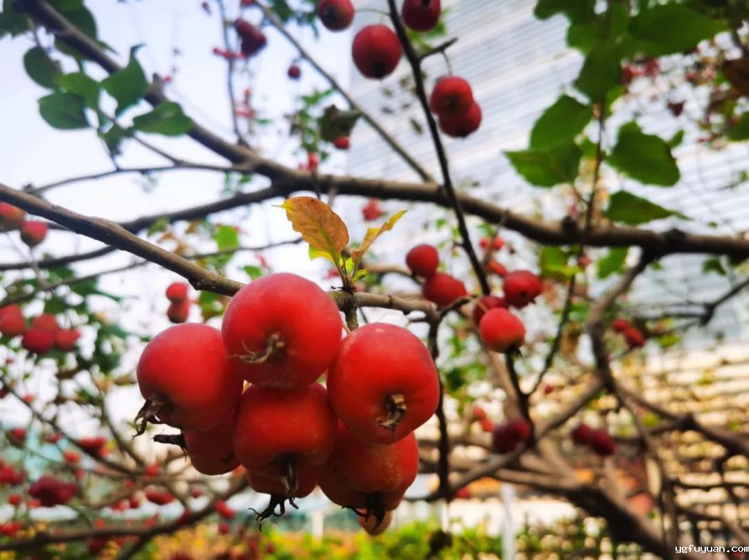 20201019176344.jpg 微信图片_20201019084346.jpg