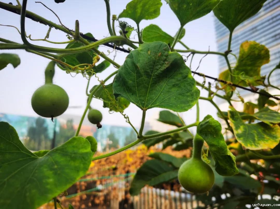 20201019431393.jpg 微信图片_20201019084352.jpg